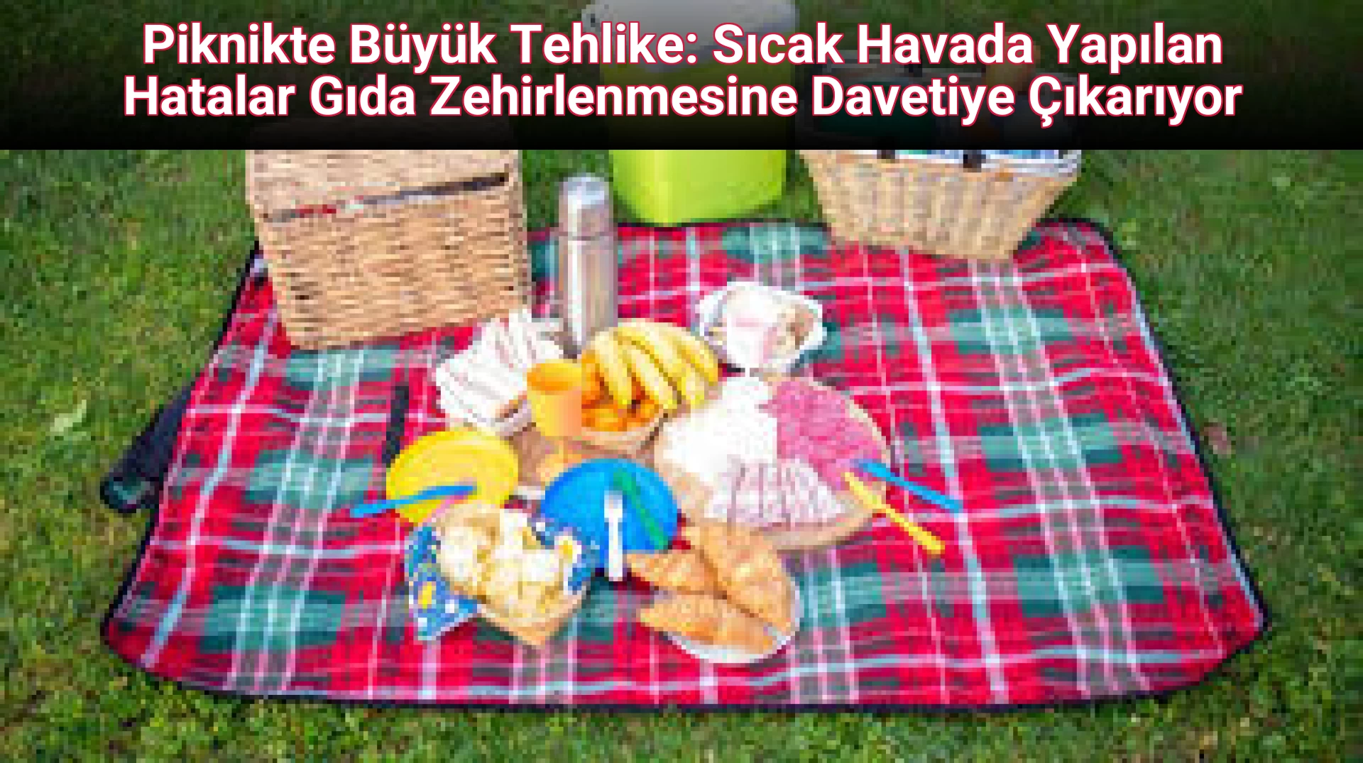 Piknikte Büyük Tehlike: Sıcak Havada Yapılan Hatalar Gıda Zehirlenmesine Davetiye Çıkarıyor