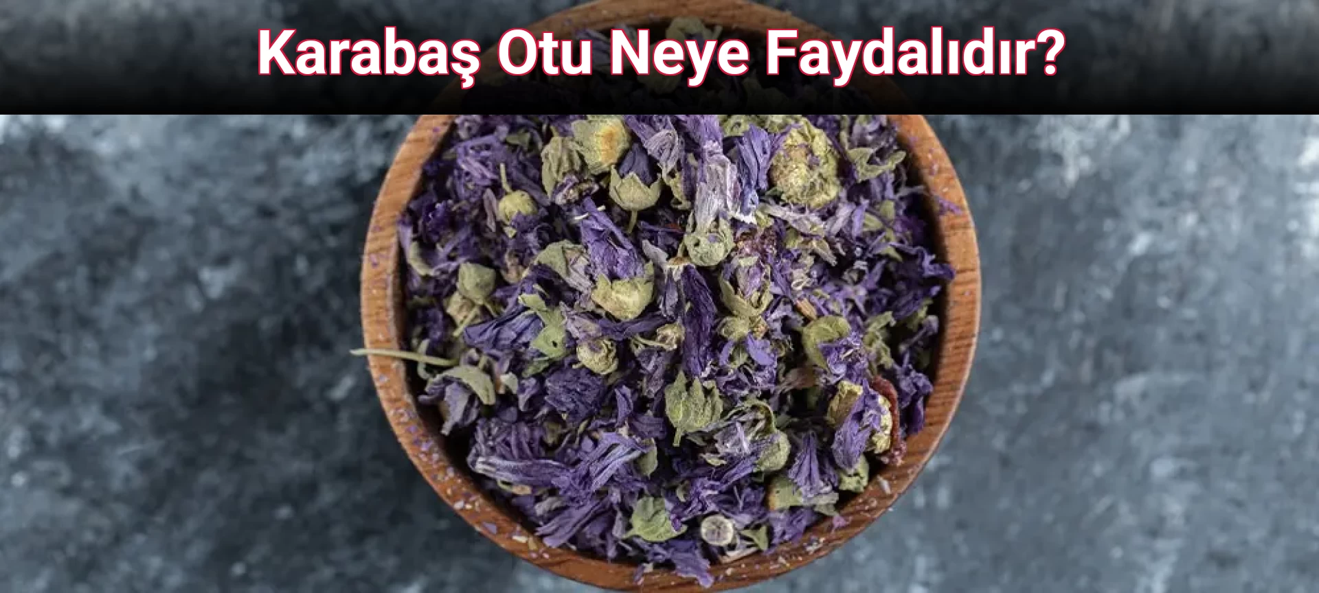 Karabaş Otu Neye Faydalıdır?