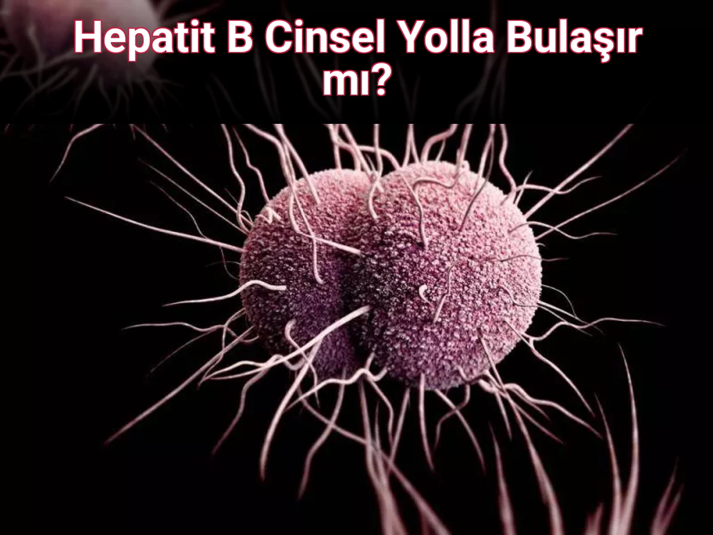 Hepatit B Cinsel Yolla Bulaşır mı?
