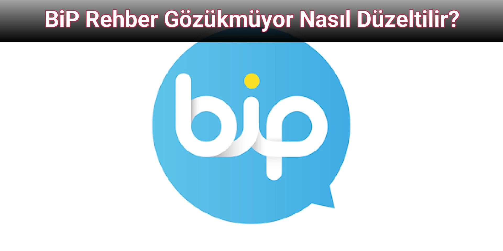 BiP Rehber Gözükmüyor Nasıl Düzeltilir?