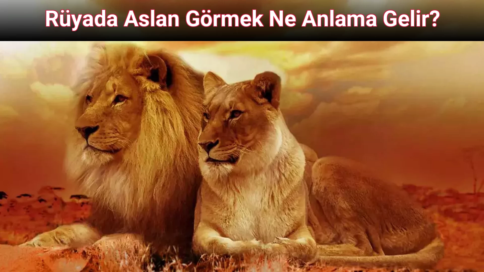 Rüyada Aslan Görmek Ne Anlama Gelir?