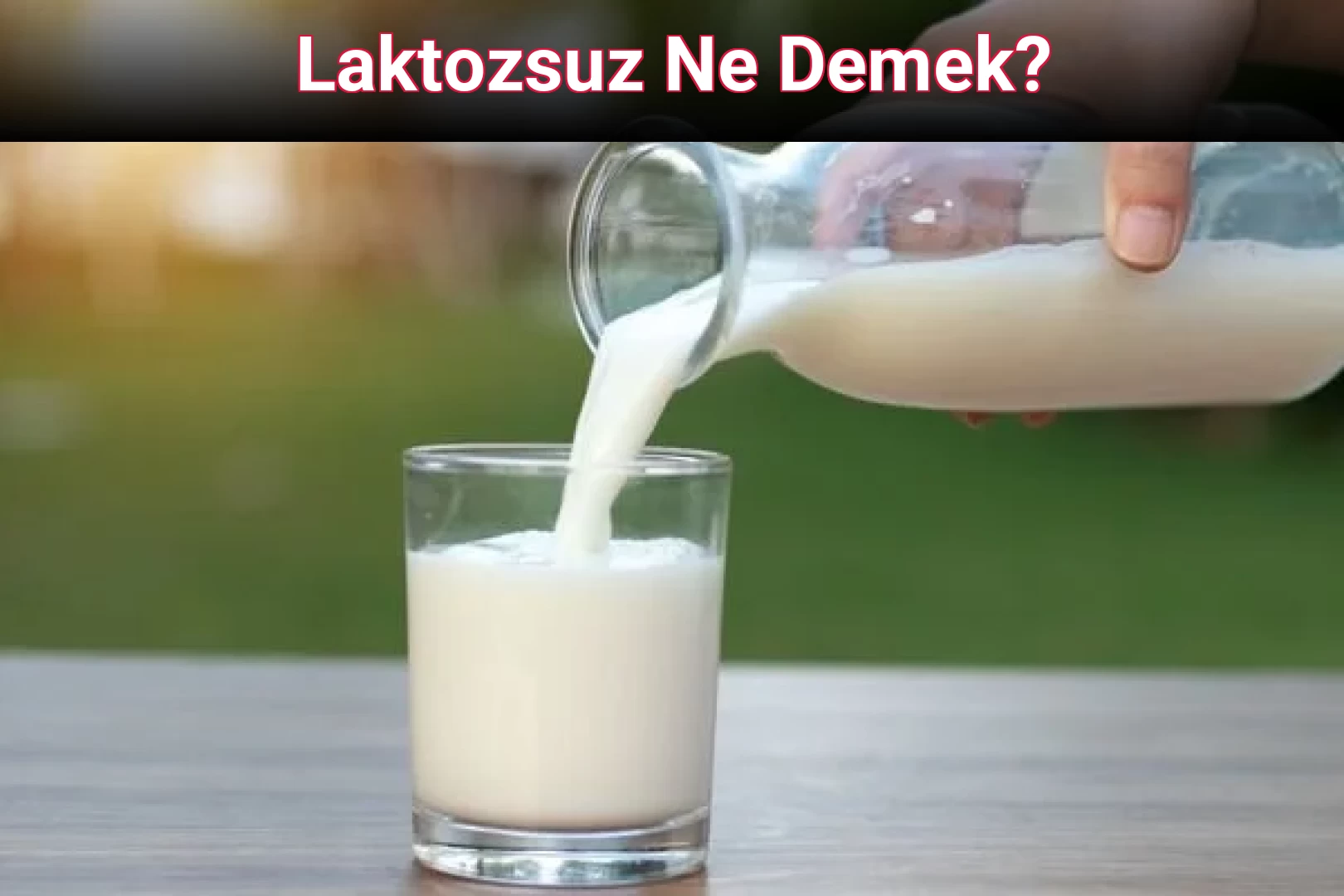 Laktozsuz Ne Demek?