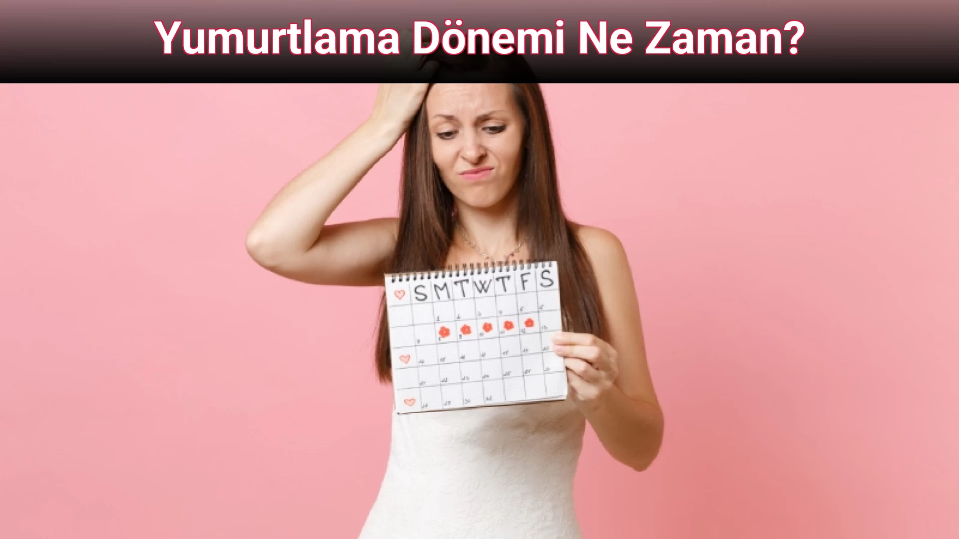 Yumurtlama Dönemi Ne Zaman?