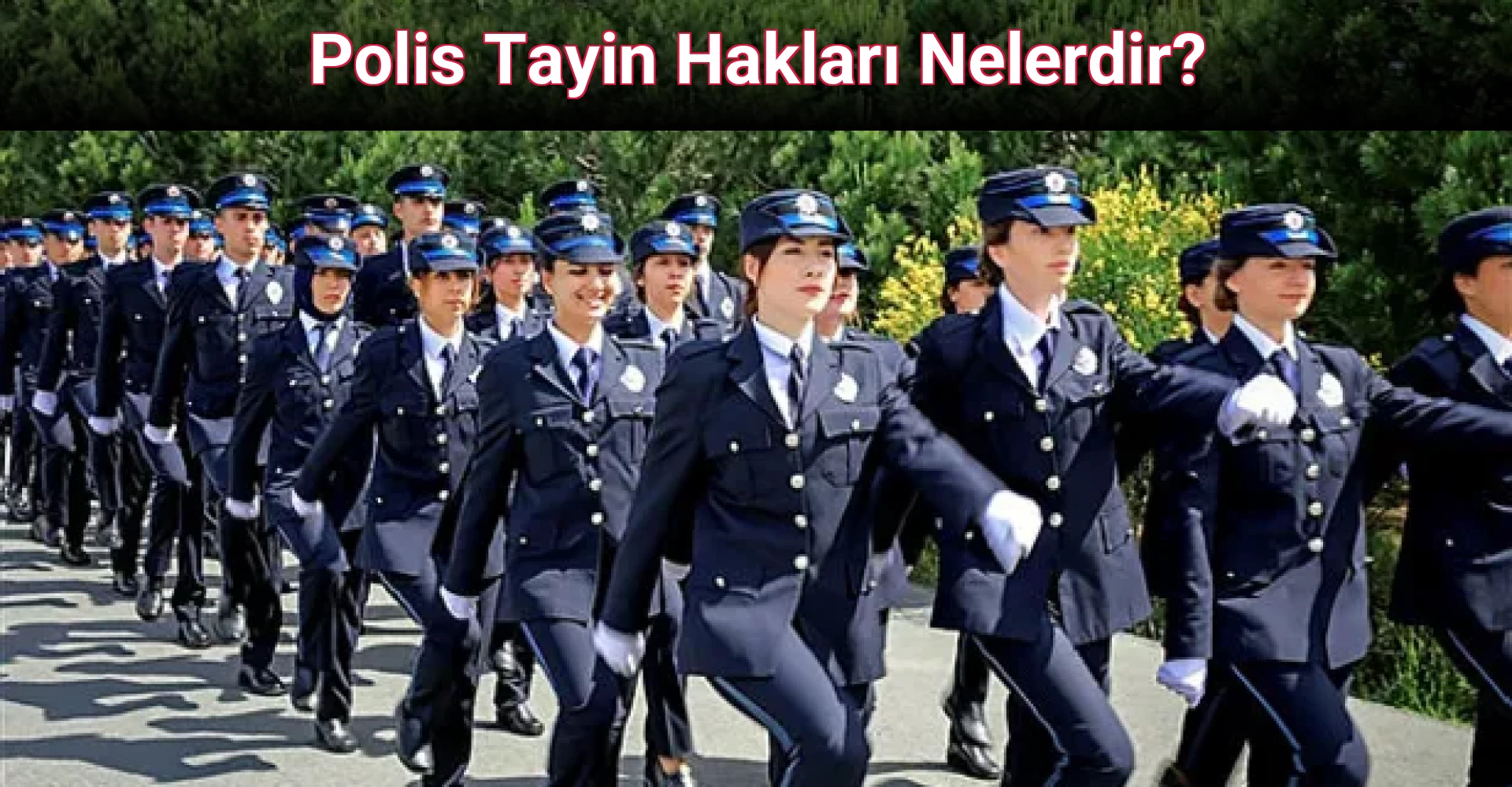 Polis Tayin Hakları Nelerdir?