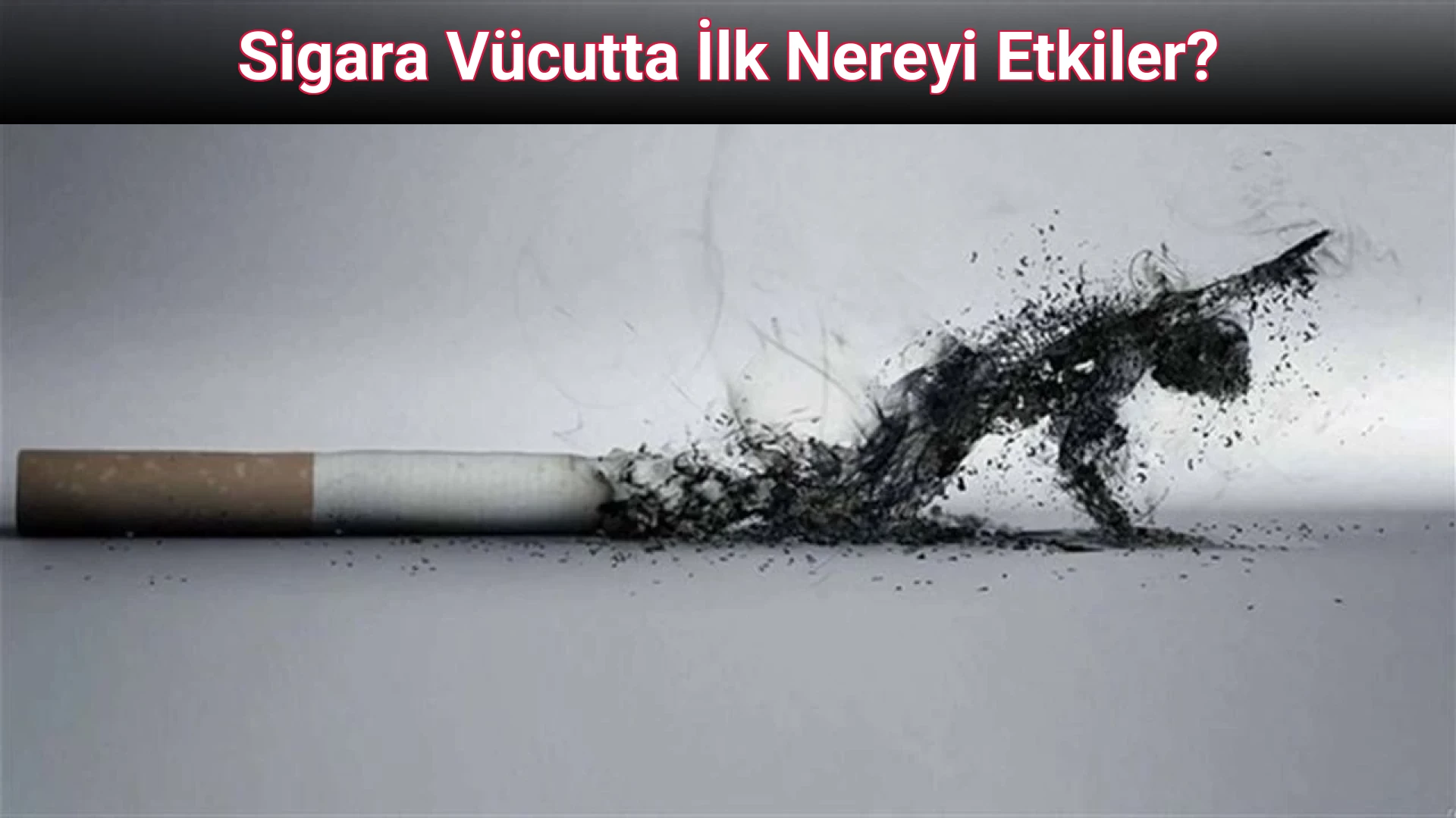 Sigara Vücutta İlk Nereyi Etkiler?