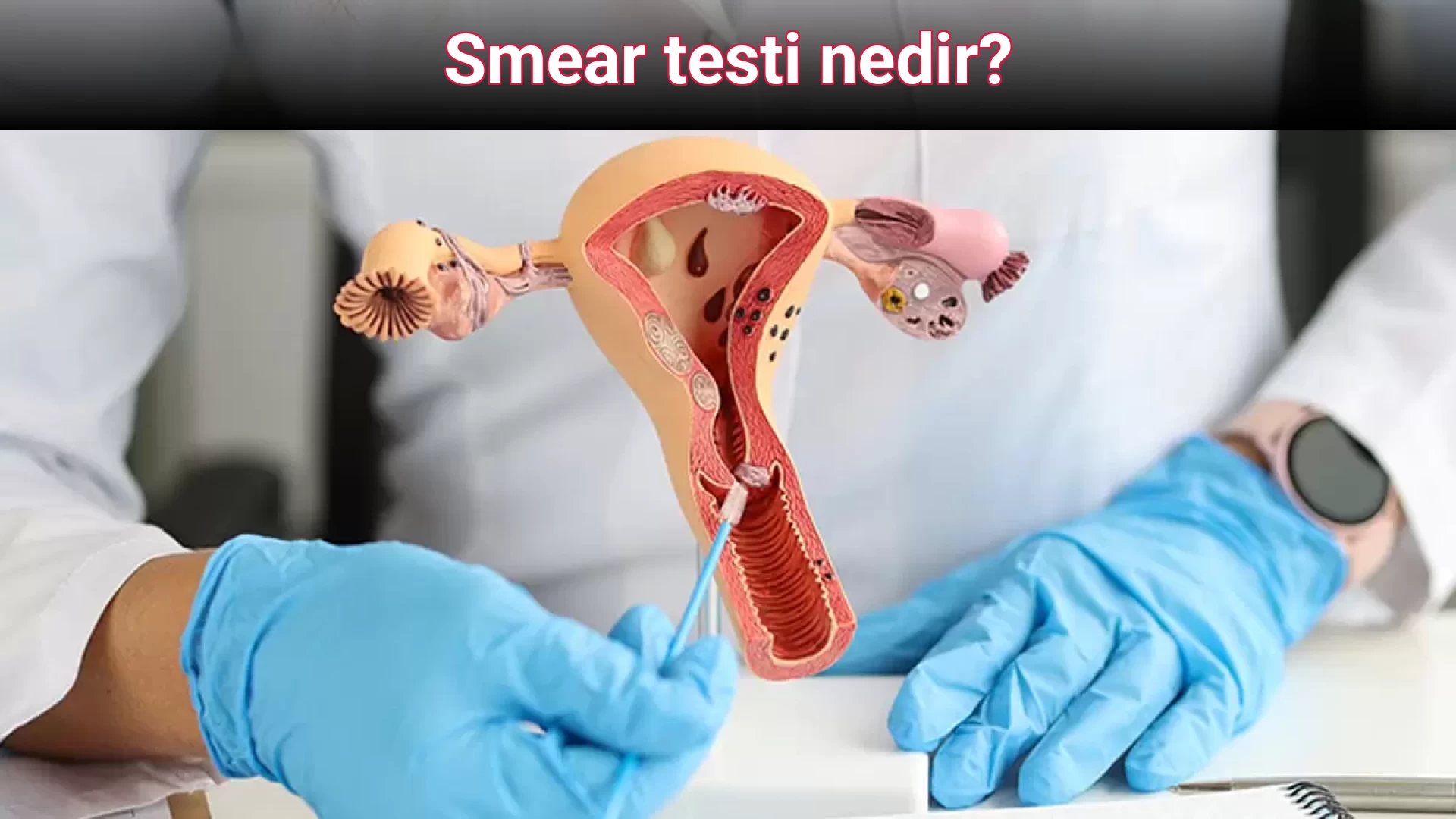 Smear testi nedir?