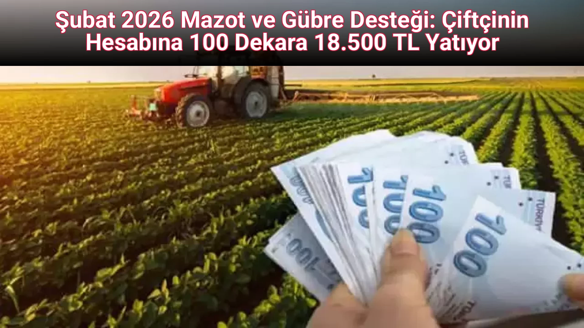 Şubat 2026 Mazot ve Gübre Desteği: Çiftçinin Hesabına 100 Dekara 18.500 TL Yatıyor